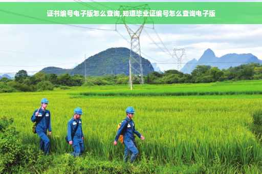 证书编号电子版怎么查询,知道毕业证编号怎么查询电子版