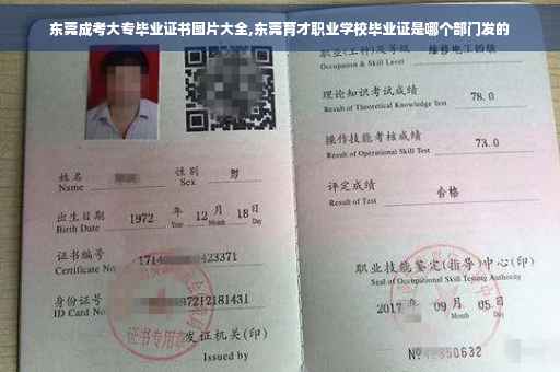 东莞成考大专毕业证书图片大全,东莞育才职业学校毕业证是哪个部门发的