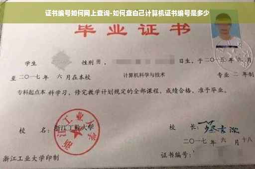 证书编号如何网上查询-如何查自己计算机证书编号是多少
