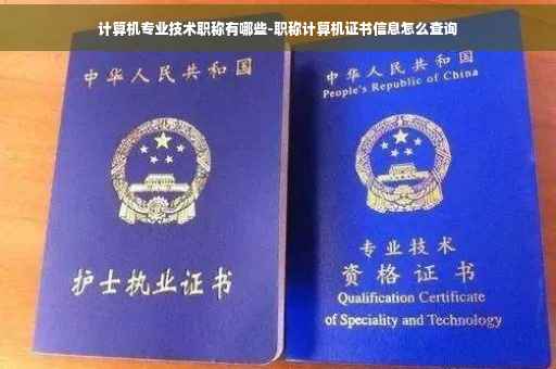 计算机专业技术职称有哪些-职称计算机证书信息怎么查询