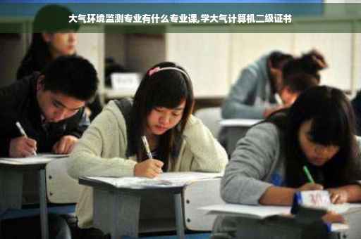 大气环境监测专业有什么专业课,学大气计算机二级证书
