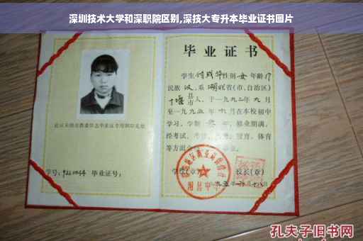 深圳技术大学和深职院区别,深技大专升本毕业证书图片