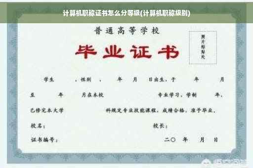 计算机职称证书怎么分等级(计算机职称级别)