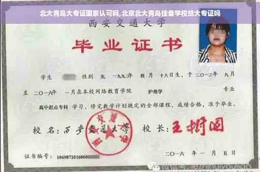 北大青鸟大专证国家认可吗,北京北大青鸟佳音学校给大专证吗