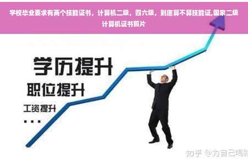 学校毕业要求有两个技能证书，计算机二级，四六级，到底算不算技能证,国家二级计算机证书照片