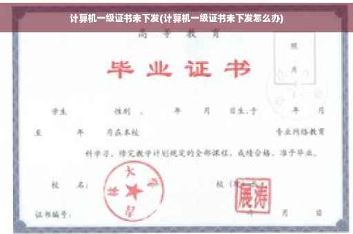 计算机一级证书未下发(计算机一级证书未下发怎么办)