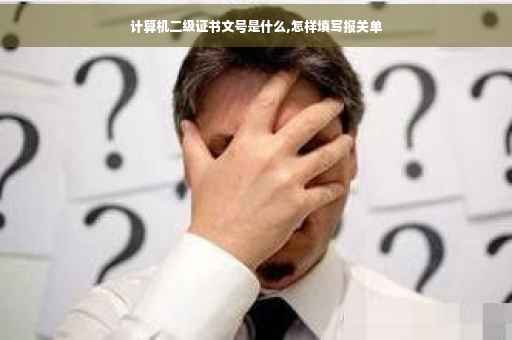 计算机二级证书文号是什么,怎样填写报关单