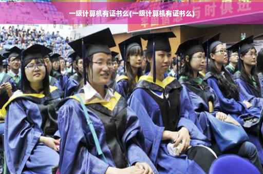 一级计算机有证书么(一级计算机有证书么)