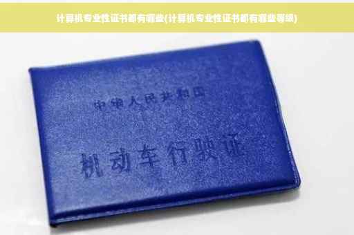 计算机专业性证书都有哪些(计算机专业性证书都有哪些等级)