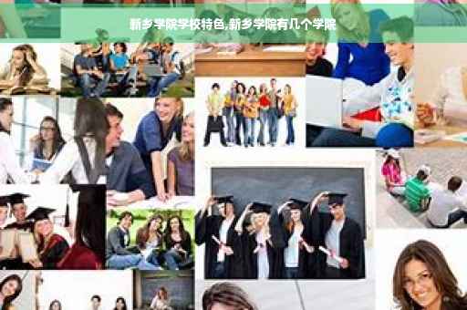 新乡学院学校特色,新乡学院有几个学院