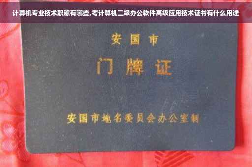 计算机专业技术职称有哪些,考计算机二级办公软件高级应用技术证书有什么用途