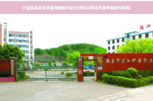 计算机高级证书要考哪些内容(计算机高级证书要考哪些内容呢)