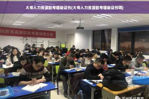 大专人力资源能考哪些证书(大专人力资源能考哪些证书呢)