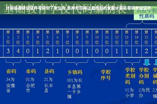 计算机等级证证件号码忘了怎么办,怎样打印网上查找到的全国计算机等级考试证书