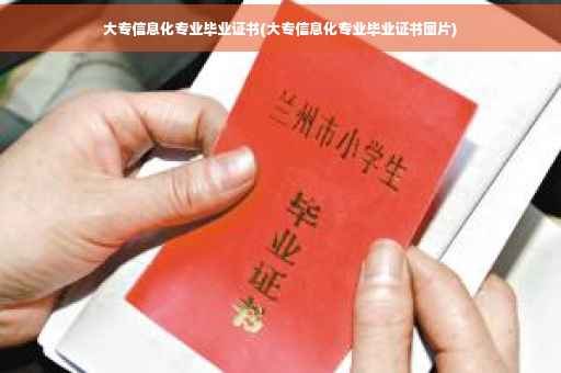 大专信息化专业毕业证书(大专信息化专业毕业证书图片)