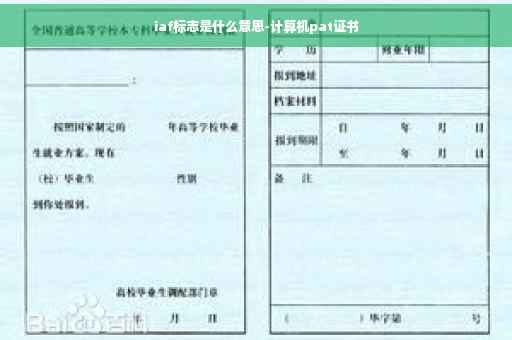 iaf标志是什么意思-计算机pat证书