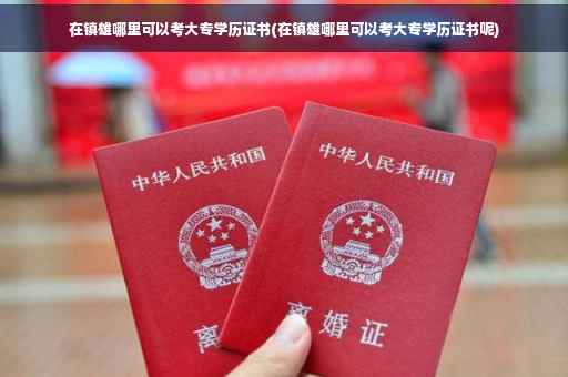 在镇雄哪里可以考大专学历证书(在镇雄哪里可以考大专学历证书呢)