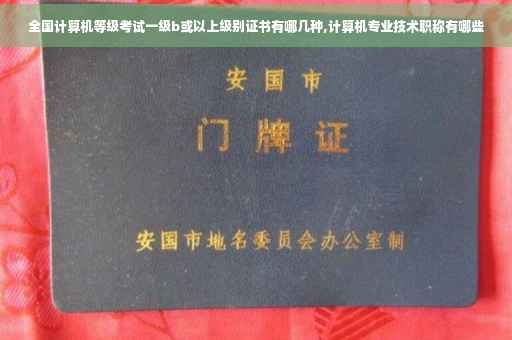 全国计算机等级考试一级b或以上级别证书有哪几种,计算机专业技术职称有哪些