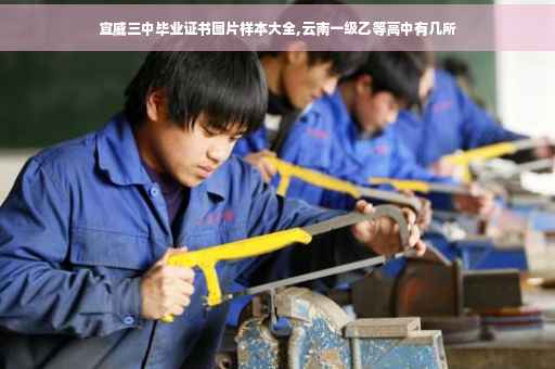 宣威三中毕业证书图片样本大全,云南一级乙等高中有几所