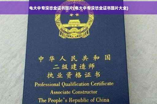 电大中专没毕业证书图片(电大中专没毕业证书图片大全)
