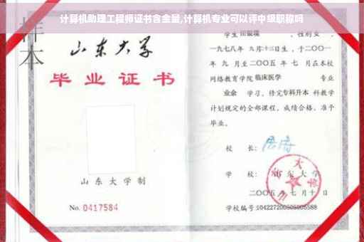 计算机助理工程师证书含金量,计算机专业可以评中级职称吗