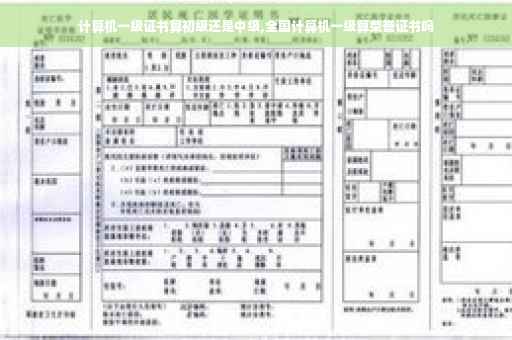 计算机一级证书算初级还是中级,全国计算机一级算荣誉证书吗