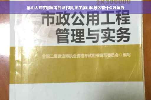 屏山大专在哪里考的证书啊,枣庄屏山风景区有什么好玩的