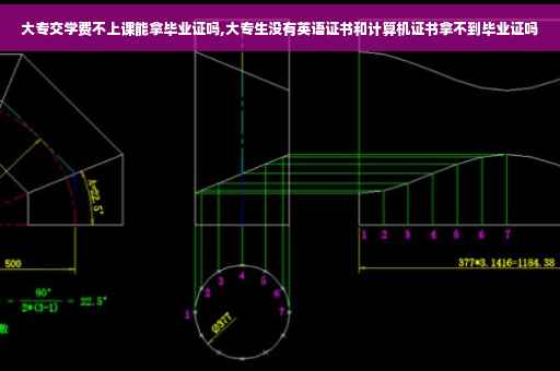 大专交学费不上课能拿毕业证吗,大专生没有英语证书和计算机证书拿不到毕业证吗