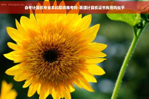 自考计算机专业本科超级难考吗-慕课计算机证书有用吗知乎