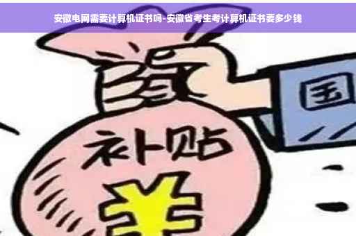 安徽电网需要计算机证书吗-安徽省考生考计算机证书要多少钱