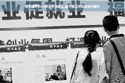 贵州最好的20所高中是哪些,威宁县三中毕业证书图片