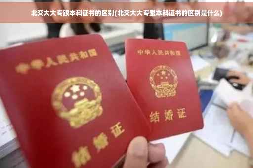 北交大大专跟本科证书的区别(北交大大专跟本科证书的区别是什么)