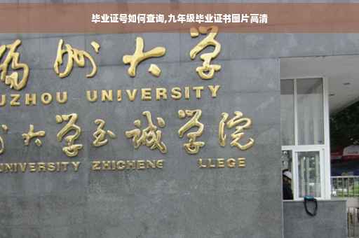 毕业证号如何查询,九年级毕业证书图片高清