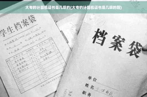 大专的计算机证书是几级的(大专的计算机证书是几级的啊)