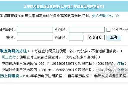 辽宁省大专毕业证书样本(辽宁省大专毕业证书样本图片)