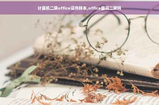 计算机二级office证书样本,office最高二级吗