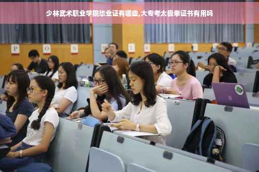 少林武术职业学院毕业证有哪些,大专考太极拳证书有用吗
