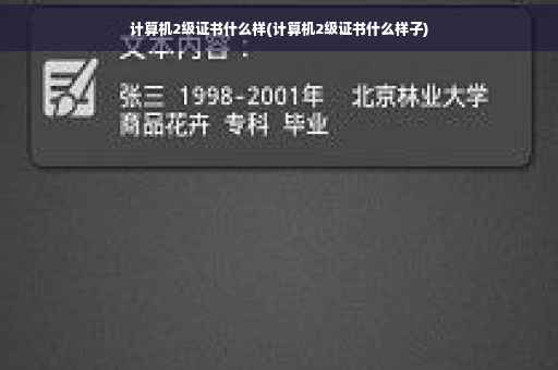 计算机2级证书什么样(计算机2级证书什么样子)