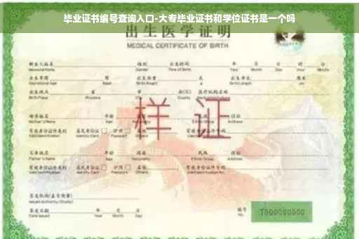 毕业证书编号查询入口-大专毕业证书和学位证书是一个吗