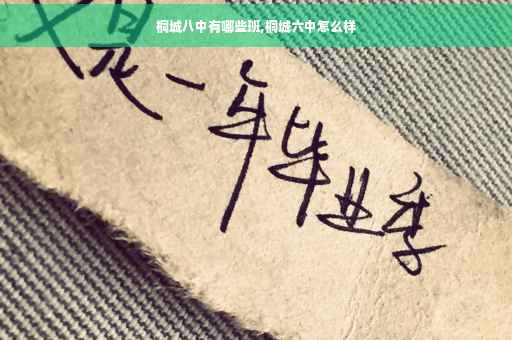 桐城八中有哪些班,桐城六中怎么样