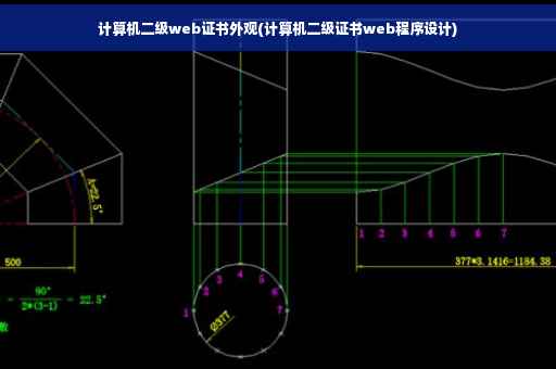 计算机二级web证书外观(计算机二级证书web程序设计) 计算机二级web证书外观(计算机二级证书web程序设计)
