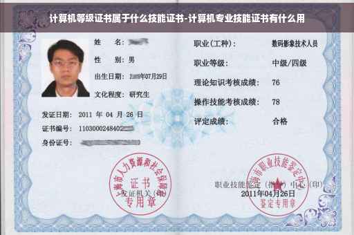 计算机等级证书属于什么技能证书-计算机专业技能证书有什么用