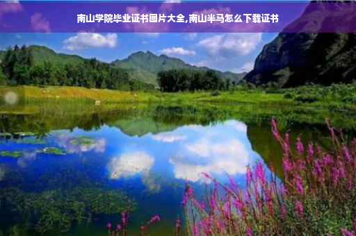 南山学院毕业证书图片大全,南山半马怎么下载证书