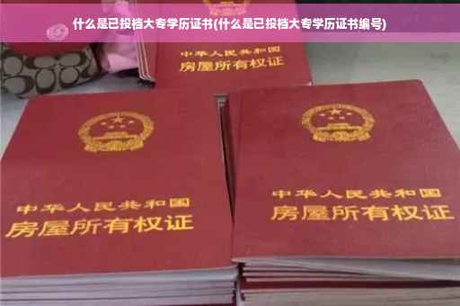 什么是已投档大专学历证书(什么是已投档大专学历证书编号)