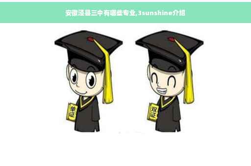 安徽泾县三中有哪些专业,3sunshine介绍