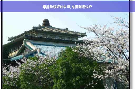 常德比较好的中学,车辆到哪过户