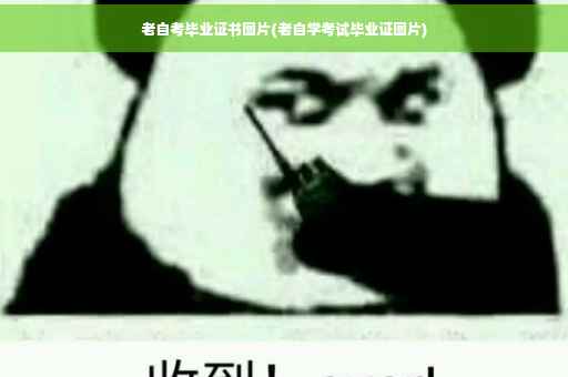 老自考毕业证书图片(老自学考试毕业证图片)