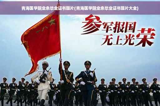 青海医学院业余毕业证书图片(青海医学院业余毕业证书图片大全)