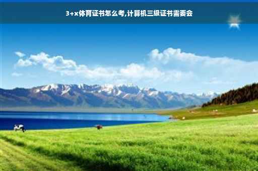 3+x体育证书怎么考,计算机三级证书需要会