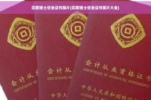 印度博士毕业证书图片(印度博士毕业证书图片大全)